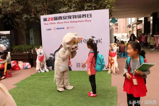 第二十届西安领养日活动圆满落幕  第7张