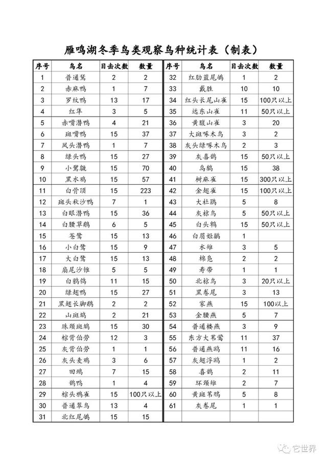 雁鸣湖是西安最奇妙的鸟类栖息地  第13张