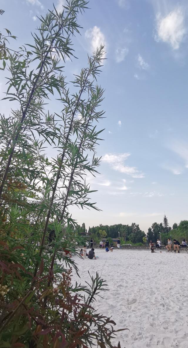 西安城区的休闲娱乐(一处休闲娱乐的花园驿站)  第29张