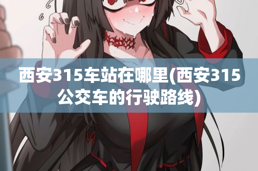 西安315车站在哪里(西安315公交车的行驶路线)