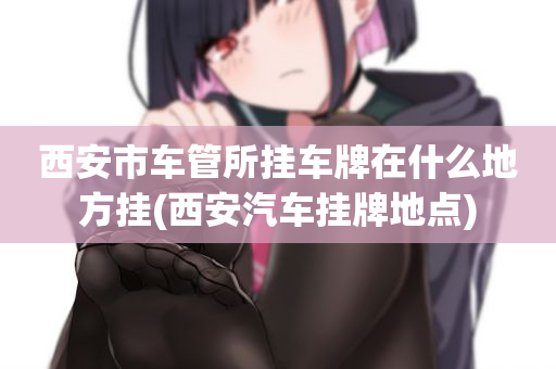 西安市车管所挂车牌在什么地方挂(西安汽车挂牌地点)