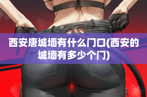 西安唐城墙有什么门口(西安的城墙有多少个门)