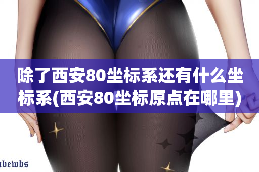 除了西安80坐标系还有什么坐标系(西安80坐标原点在哪里)