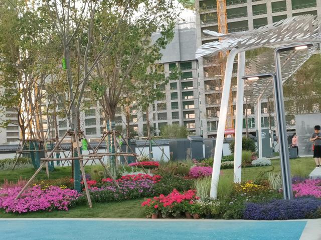 西安永安渠海绵城市公园，美丽的永安渠海绵城市公园开放了  第72张