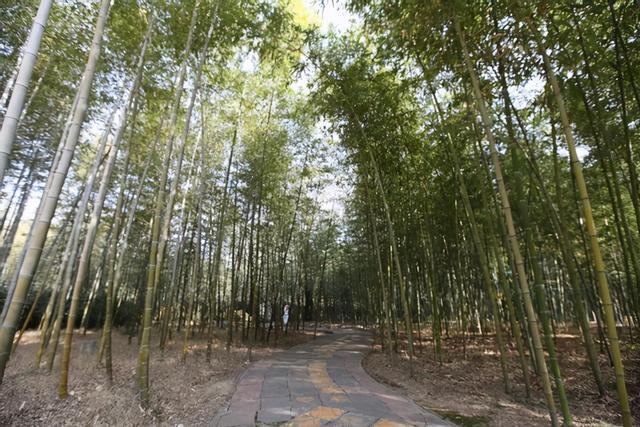 西安周末休闲「西安周末游去哪好」  第11张