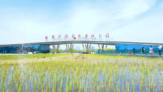 西安▲源邸壹号生态区官微自然资源区官微自然资源实景  第12张