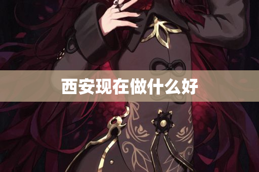 西安现在做什么好