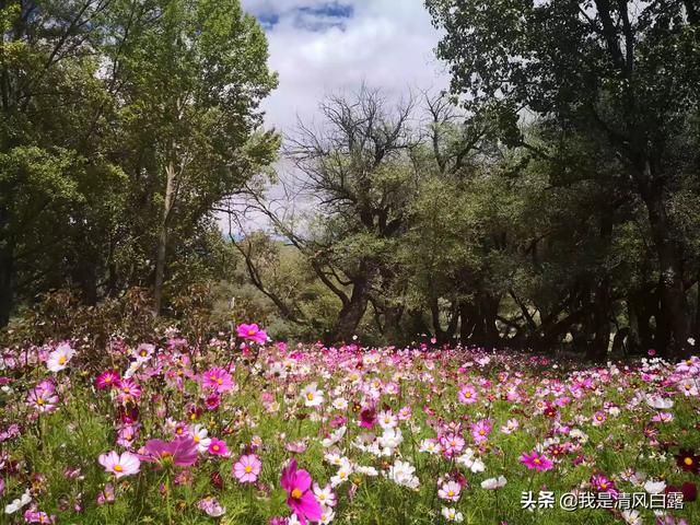 西安灞河提升改造工程进展顺利 第6张