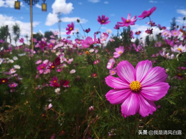 西安灞河提升改造工程进展顺利 第8张