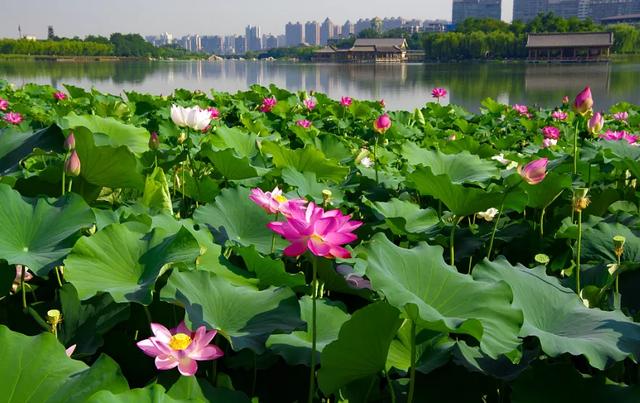 西安游玩休闲「 游山玩水正当时」  第18张