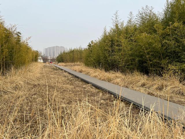 西安雁南公园雁南公园的沙堆里数不清周边休闲小镇排行  第6张