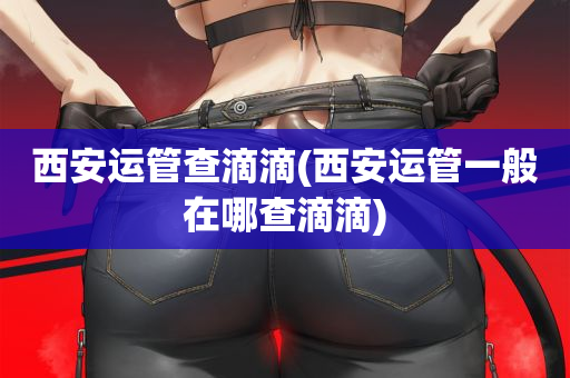 西安运管查滴滴(西安运管一般在哪查滴滴)