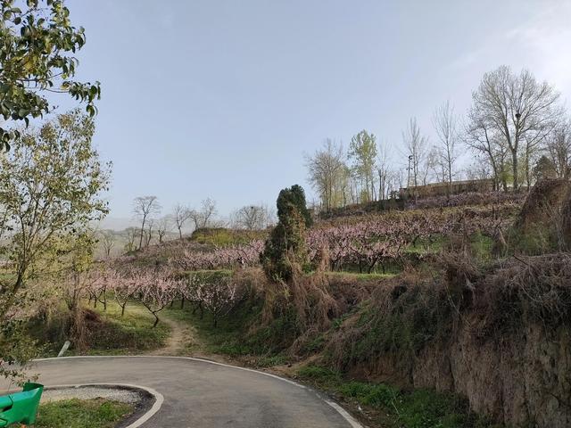 西安休闲娱乐的地方在哪「西安娱乐场所推荐」  第46张