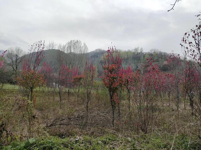 西安休闲娱乐的地方在哪「西安娱乐场所推荐」  第49张