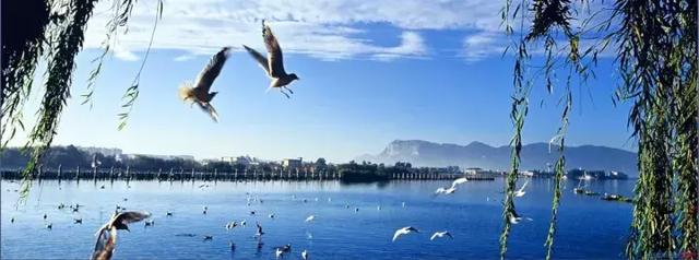 南昌这块宝地不仅自然风光秀丽、人文景观秀丽、人文景观众多「南昌、南昌、南昌、南昌、南昌、南昌旅游攻略」  第38张