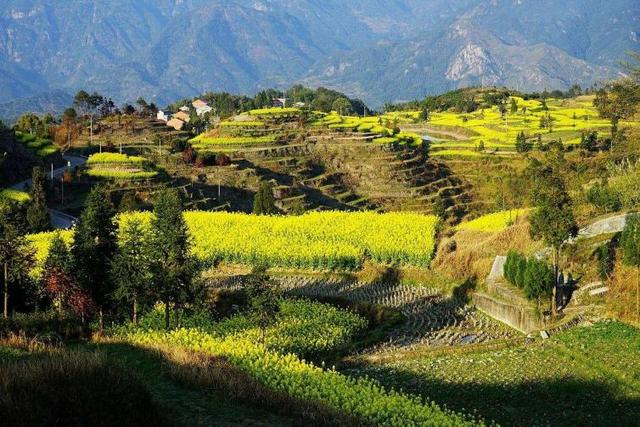 西安周边踏青好地方秦岭大寺中国山茱萸古今驰名感人「西安周边自驾游攻略」  第4张
