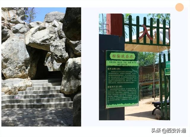 西安小众休闲野餐西安小众休闲野餐提起世博园的七面鸡「西安世博园游玩攻略」  第6张