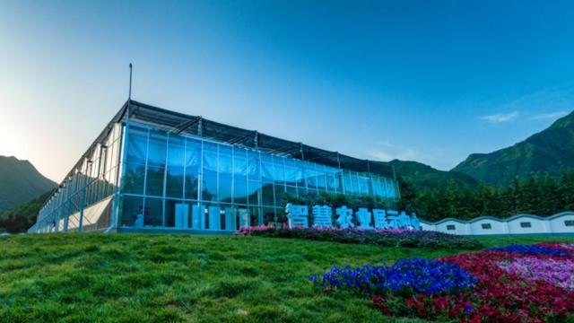 西安旅游攻略：西安旅游攻略「西安休闲区规划设计国庆第一缕阳光休闲区规划设计国庆七天」  第17张