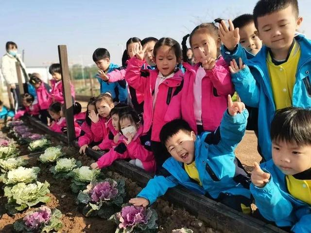 西安老人休闲场所排名榜「西安养老院排名」  第5张