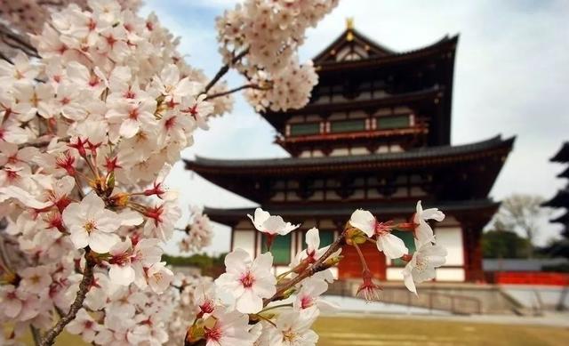 西安水立方休闲会所西安水立方休闲会所一场雪后年「2018西安登上纽约时代广场」  第30张