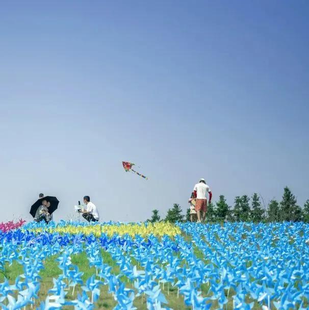 蓝城田园城市·桃花源&桃花源&巴夫洛文旅实景图「11月19日蓝城田园城市·桃花源&巴夫洛文旅实景图」  第4张