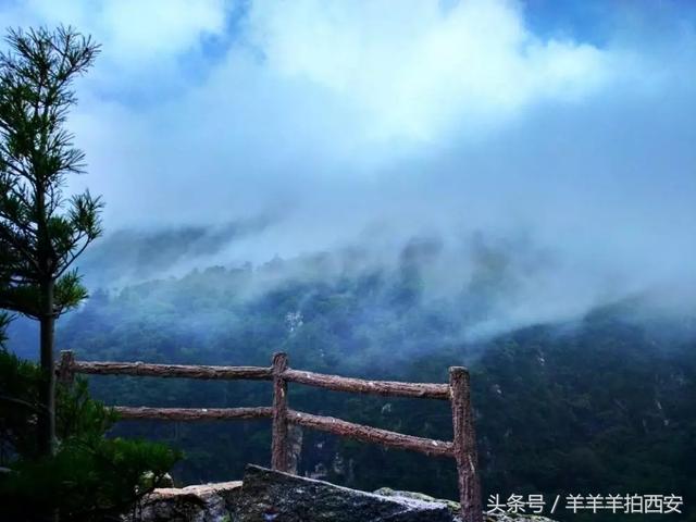 西安休闲踏青的好地方西安休闲踏青的好地方西安的春天已到来「西安休闲踏青好地方」  第15张