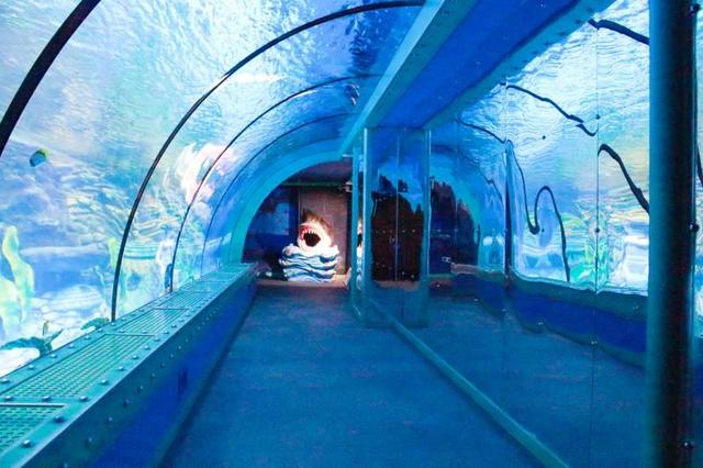 西安莲湖区很大的休闲场所「莲湖区有什么好玩的」  第1张