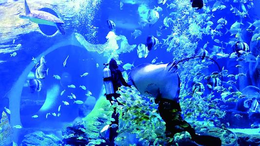 西安莲湖区很大的休闲场所「莲湖区有什么好玩的」  第4张