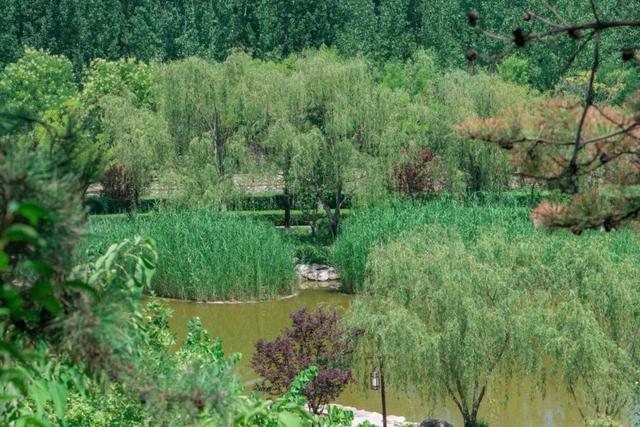 西安文景山公园游玩攻略「西安休闲免费景点：西安文景山公园」文景山公园」  第43张