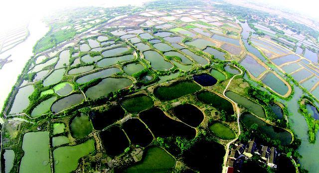 西安休闲钓鱼场在哪里啊「西安能钓鱼的地方」  第4张