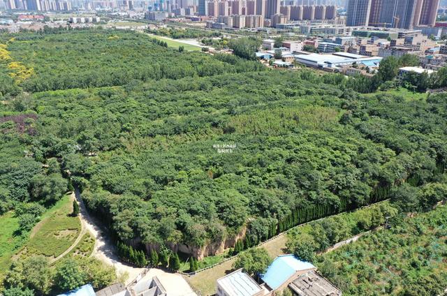 西安北郊休闲地方「西安北郊有啥好玩的景点」  第5张