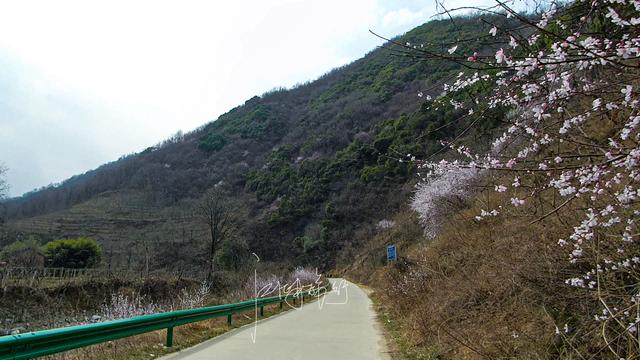 陕西旅游攻略：西骆峪「西安周边适合休闲的山上周边适合休闲的山上周边休闲的山」  第8张