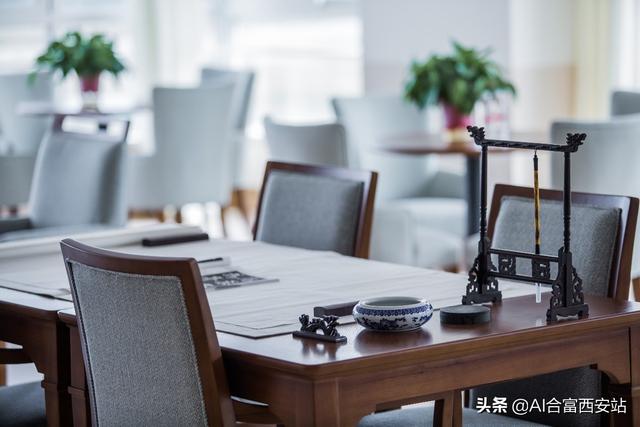西安白鹿溪谷机构目录一览「白鹿溪谷国际颐养中心引进加na大百年养老全覆盖社区养老社区」  第10张