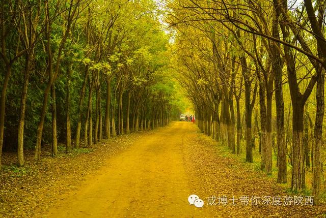 西安著名休闲度假区有哪些地方「西安度假村有哪些地方」  第22张