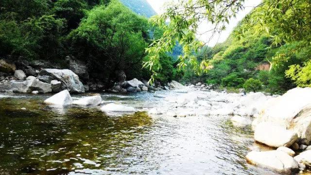 西安四季休闲钓场在哪里「西安可以野钓的地方」  第7张