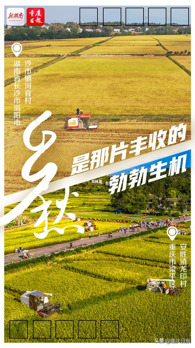 湖南日报·新湖南日报·新湖南日报·新湖南客户端乡愁「乡愁是乡野阡陌里熟悉的乡韵」  第1张