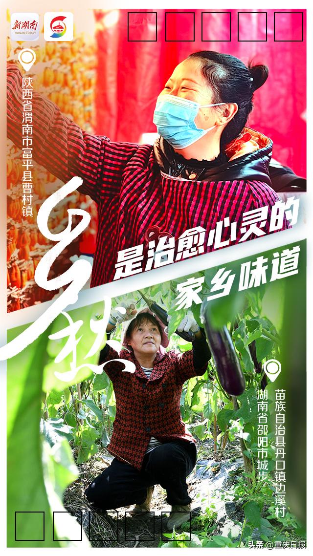 湖南日报·新湖南日报·新湖南日报·新湖南客户端乡愁「乡愁是乡野阡陌里熟悉的乡韵」  第7张