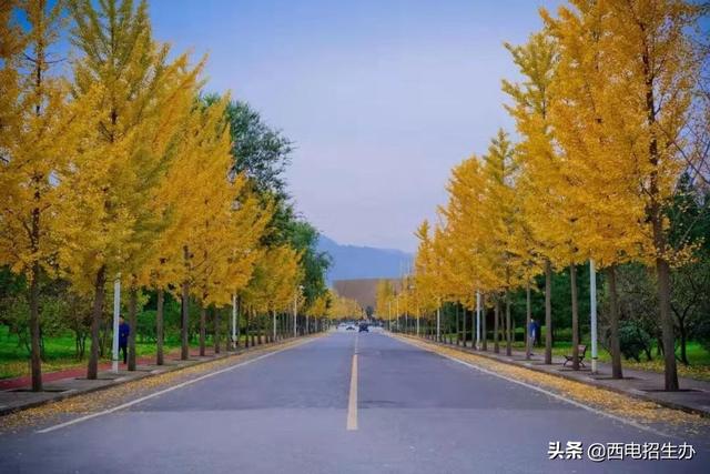 西安四季休闲打卡地点西安四季休闲打卡地点「西安四季休闲打卡地点」  第8张