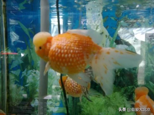 西安休闲场所推荐「西安休闲娱乐好去处」  第27张