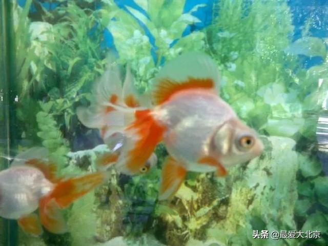 西安休闲场所推荐「西安休闲娱乐好去处」  第26张