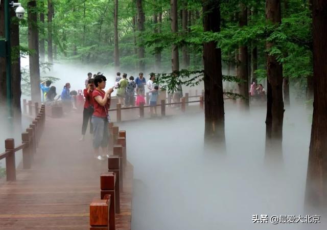 西安休闲场所推荐「西安休闲娱乐好去处」  第46张