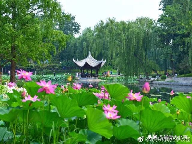 西安休闲场所推荐「西安休闲娱乐好去处」  第53张