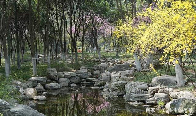 西安白天带父母白天去逛的地方，丰庆公园不收任何费用「西安旅游攻略——丰庆公园」  第5张