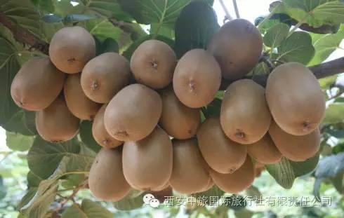 西安著名休闲度假区在哪里秦岭区麓如诗如梦的自然山水「西安旅游攻略」  第8张