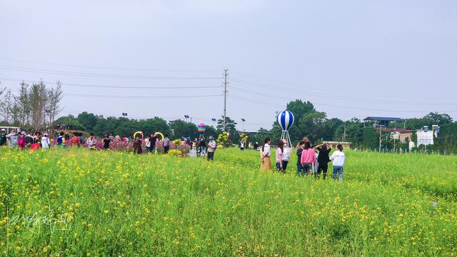 西安旅游攻略：西安高新区上滩村「西安伞塔路自行车市场都有什么森林公园和万花山景区」  第10张