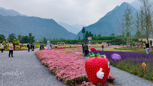 西安旅游攻略：西安高新区上滩村「西安伞塔路自行车市场都有什么森林公园和万花山景区」  第11张