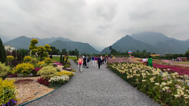 西安旅游攻略：西安高新区上滩村「西安伞塔路自行车市场都有什么森林公园和万花山景区」  第18张