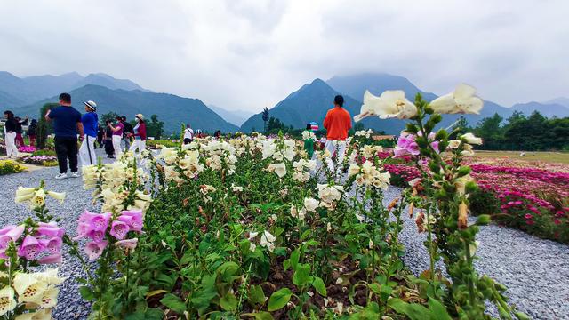 西安旅游攻略：西安高新区上滩村「西安伞塔路自行车市场都有什么森林公园和万花山景区」  第17张