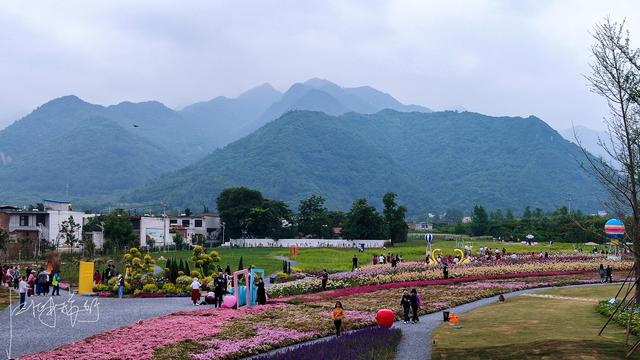 西安旅游攻略：西安高新区上滩村「西安伞塔路自行车市场都有什么森林公园和万花山景区」  第20张