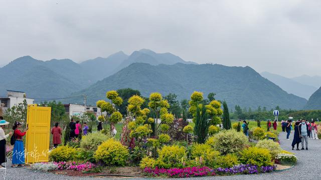 西安旅游攻略：西安高新区上滩村「西安伞塔路自行车市场都有什么森林公园和万花山景区」  第19张